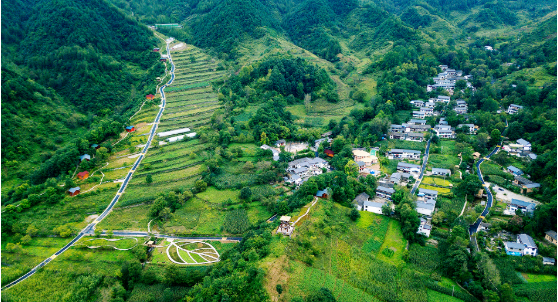 集團全力助推甘肅隴南康縣委托招商引資，以綠色發(fā)展推動鄉(xiāng)村振興