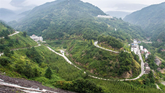 集團全力助推甘肅隴南武都區委托招商引資，將地域資源優勢轉化為經濟發展新動能