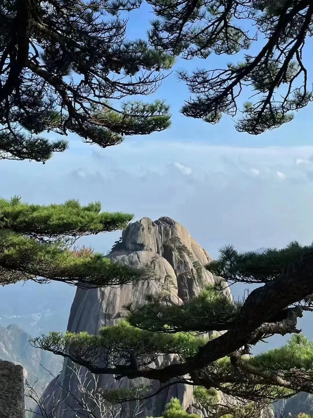 東方龍商務與春天有個約會！集團100余人赴安徽黃山“團建”，太嗨了！“奔跑二季度”——我們準備好了！